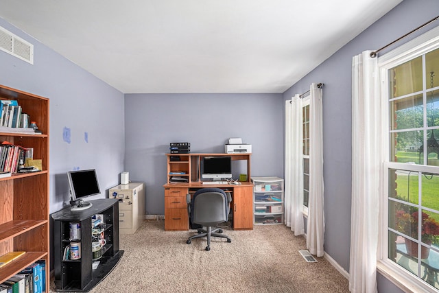 486 Charing Cross Dr, Grand Blanc, MI 48439 - photo 8