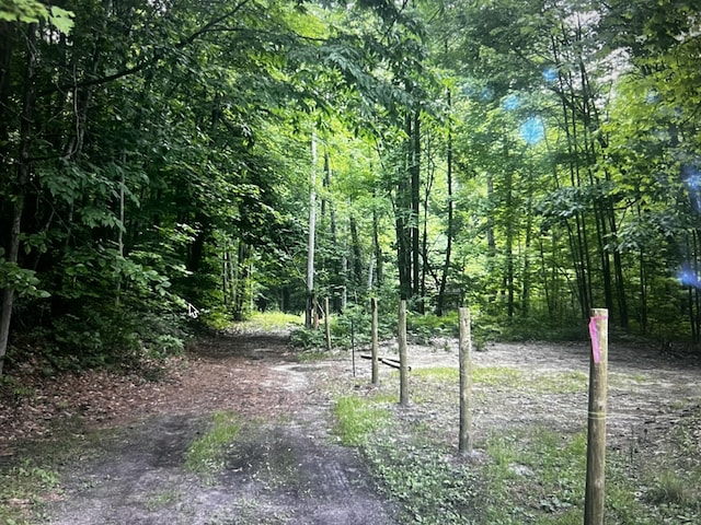 352 Cherokee Trl, Stanton, MI 48888 - photo 10