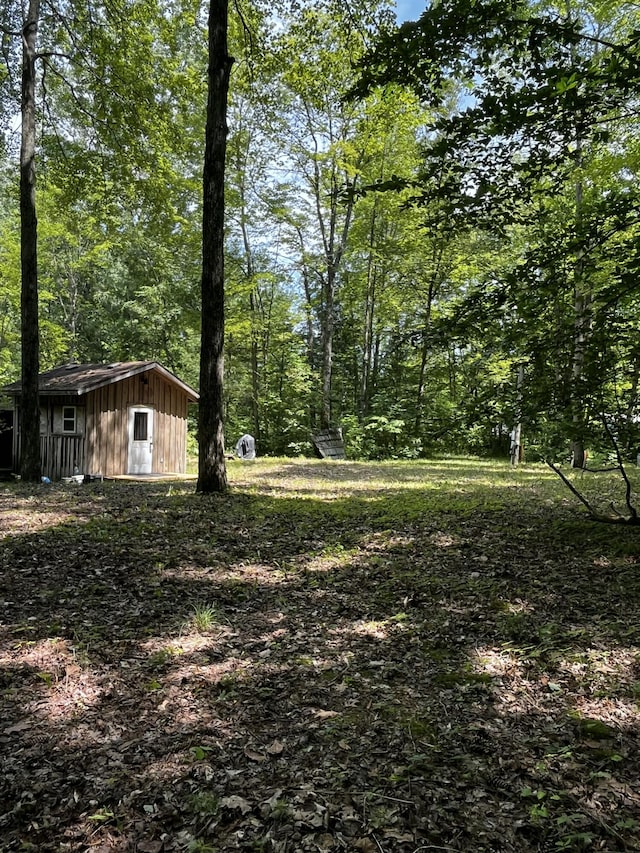 352 Cherokee Trl, Stanton, MI 48888 - photo 3