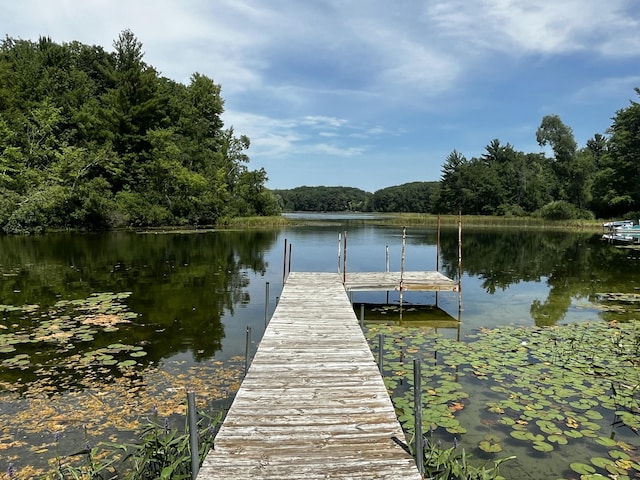 352 Cherokee Trl, Stanton, MI 48888 - photo 1