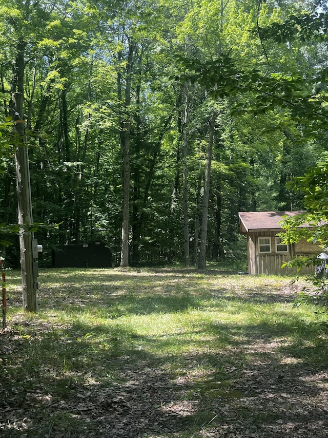352 Cherokee Trl, Stanton, MI 48888 - photo 4