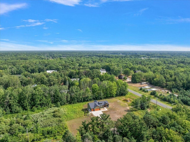 15221 Blair St, West Olive, MI 49460 - photo 56