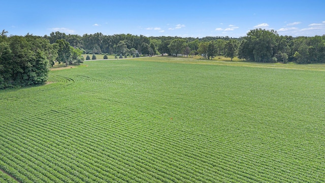 VL Buffalo Rd, Buchanan, MI 49107 - photo 3