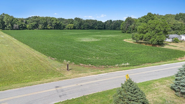 VL Buffalo Rd, Buchanan, MI 49107 - photo 4