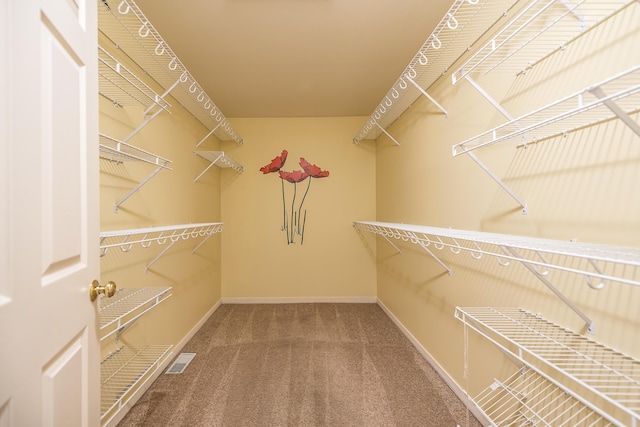 128 Ponds View Dr, Ann Arbor, MI 48103 - photo 26