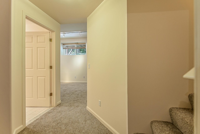 128 Ponds View Dr, Ann Arbor, MI 48103 - photo 33