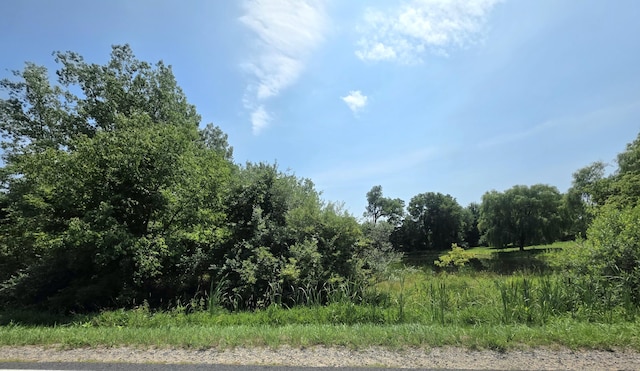 VL Mcbrides Rd, Stanton, MI 48888 - photo 3