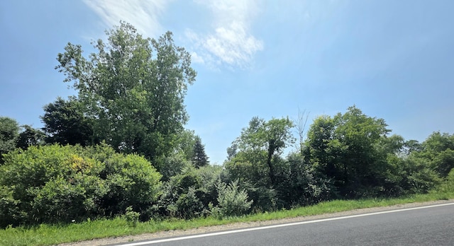 VL Mcbrides Rd, Stanton, MI 48888 - photo 4