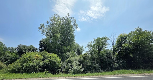 VL Mcbrides Rd, Stanton, MI 48888 - photo 6