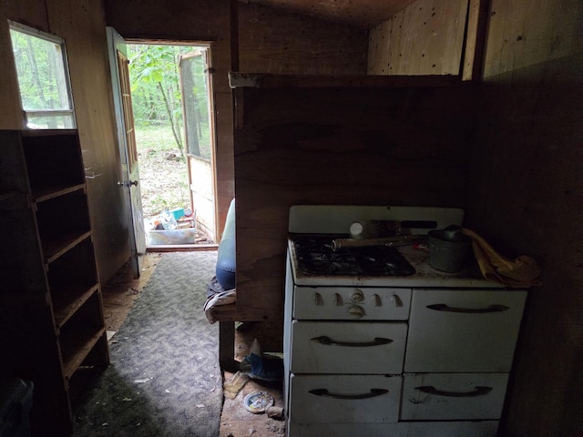 6759 W Van Buren St, Hesperia, MI 49421 - photo 8