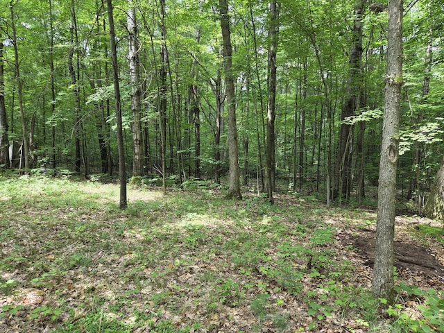 6759 W Van Buren St, Hesperia, MI 49421 - photo 3