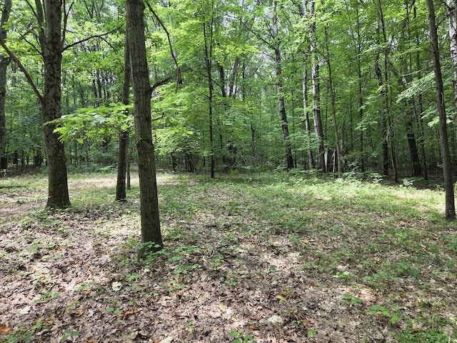 6759 W Van Buren St, Hesperia, MI 49421 - photo 4