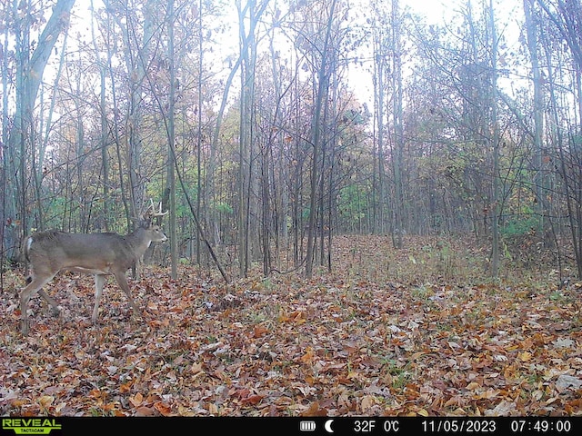 00 Stuck Rd, Marcellus, MI 49067 - photo 9