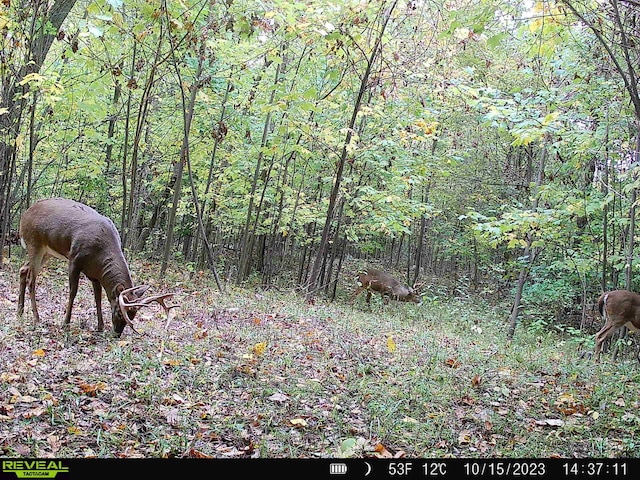 00 Stuck Rd, Marcellus, MI 49067 - photo 5