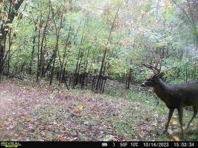 00 Stuck Rd, Marcellus, MI 49067 - photo 6