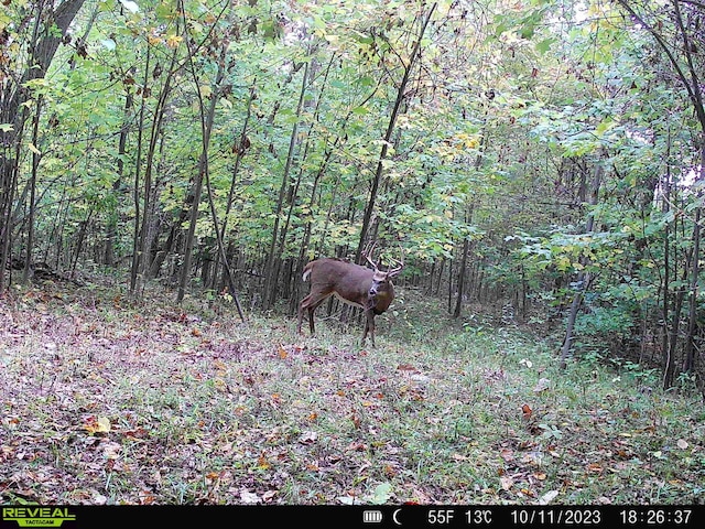 00 Stuck Rd, Marcellus, MI 49067 - photo 4