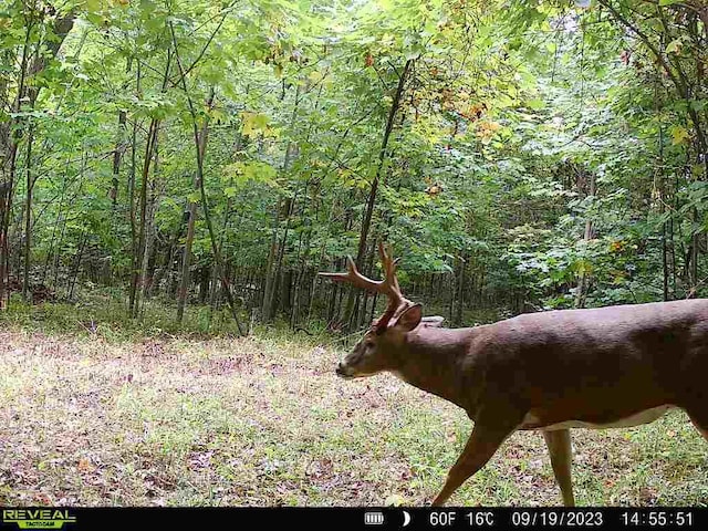 00 Stuck Rd, Marcellus, MI 49067 - photo 7