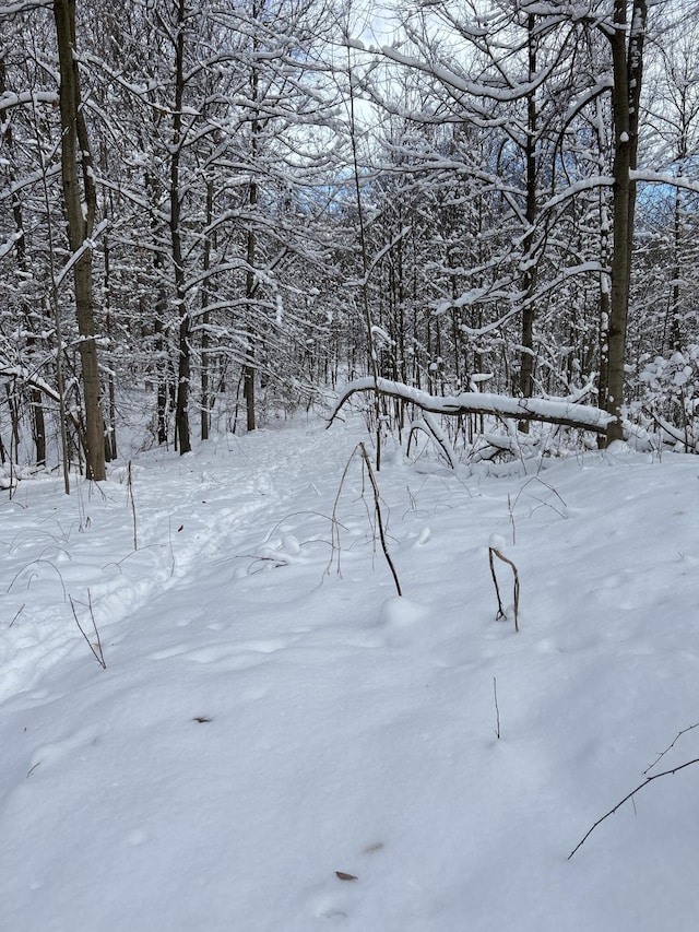 00 Stuck Rd, Marcellus, MI 49067 - photo 26