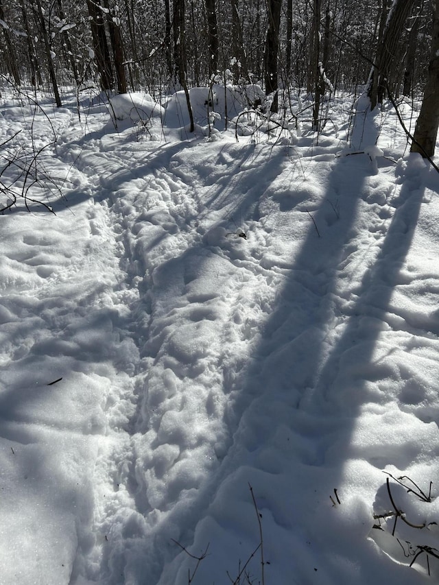 00 Stuck Rd, Marcellus, MI 49067 - photo 28