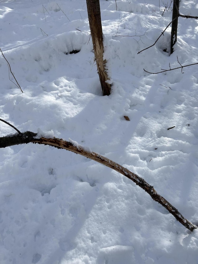 00 Stuck Rd, Marcellus, MI 49067 - photo 30