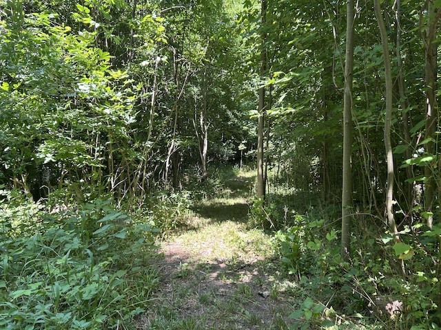 00 Stuck Rd, Marcellus, MI 49067 - photo 12