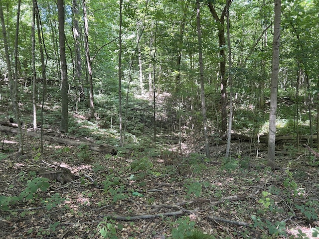 00 Stuck Rd, Marcellus, MI 49067 - photo 13