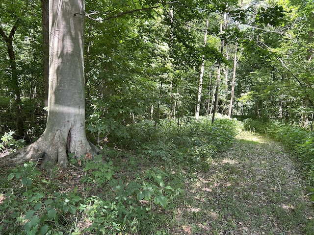 00 Stuck Rd, Marcellus, MI 49067 - photo 14