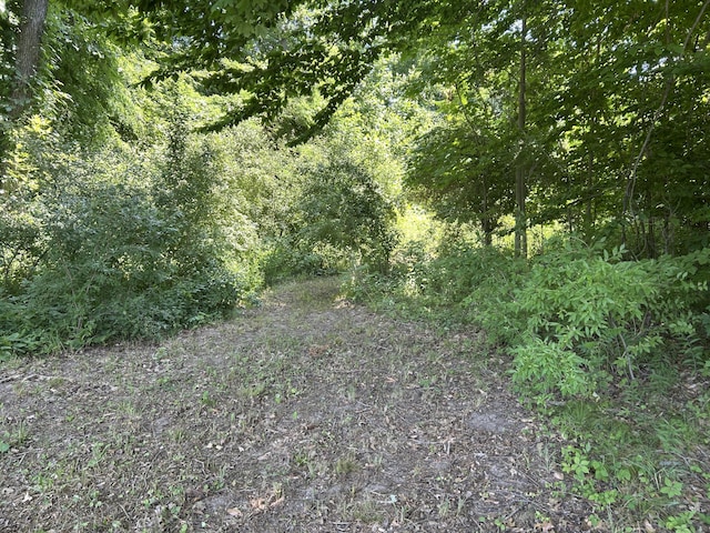 00 Stuck Rd, Marcellus, MI 49067 - photo 15