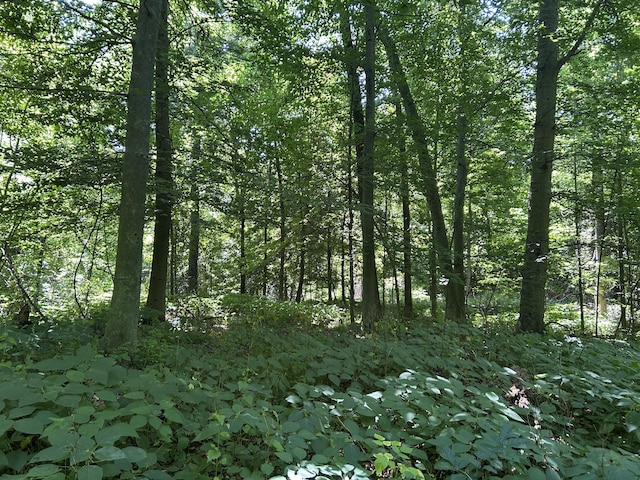 00 Stuck Rd, Marcellus, MI 49067 - photo 23