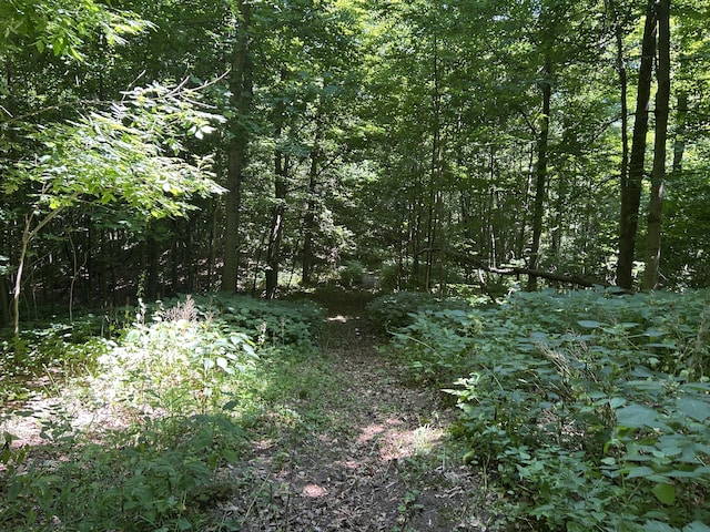 00 Stuck Rd, Marcellus, MI 49067 - photo 24