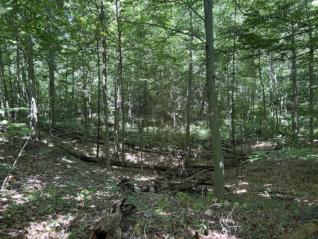 00 Stuck Rd, Marcellus, MI 49067 - photo 25