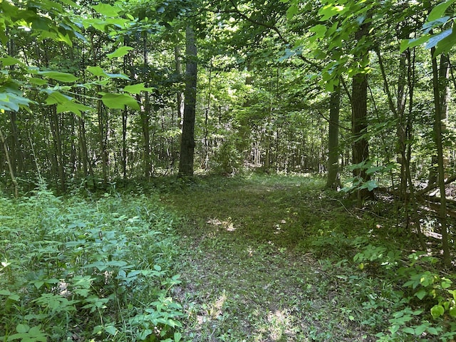 00 Stuck Rd, Marcellus, MI 49067 - photo 27