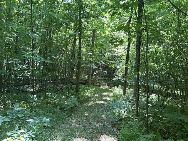 00 Stuck Rd, Marcellus, MI 49067 - photo 29