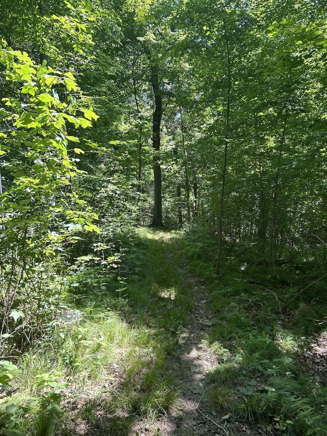 00 Stuck Rd, Marcellus, MI 49067 - photo 19