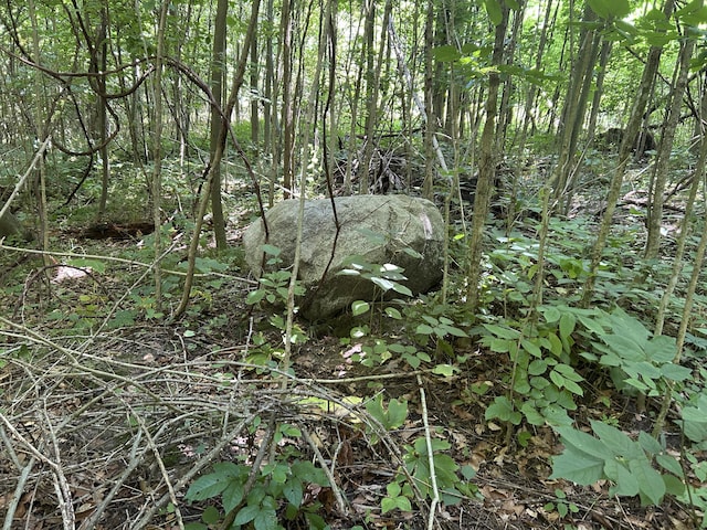 00 Stuck Rd, Marcellus, MI 49067 - photo 10