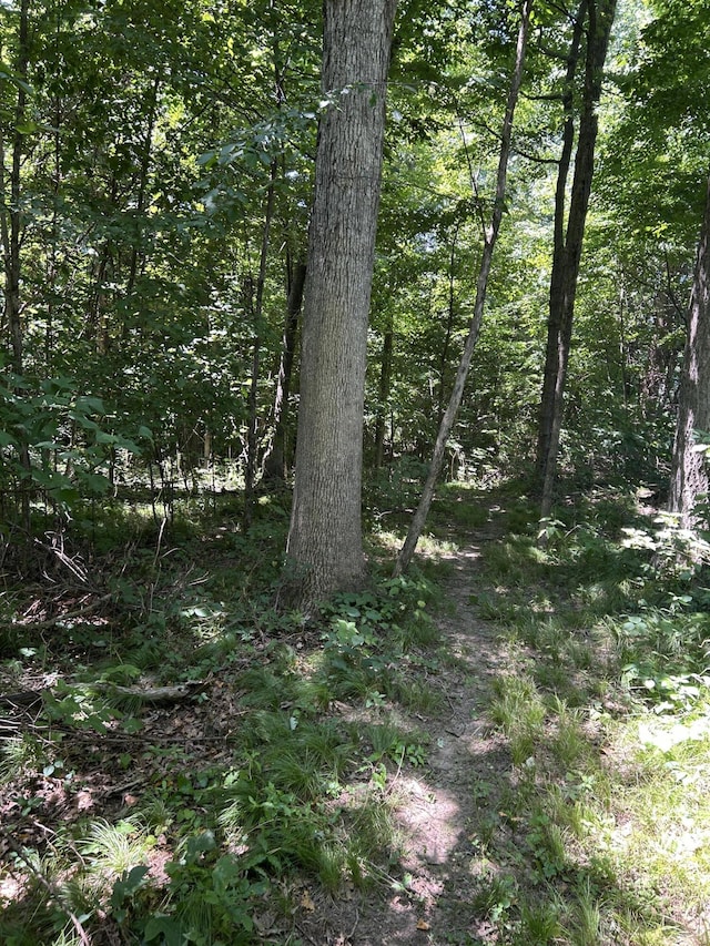 00 Stuck Rd, Marcellus, MI 49067 - photo 20