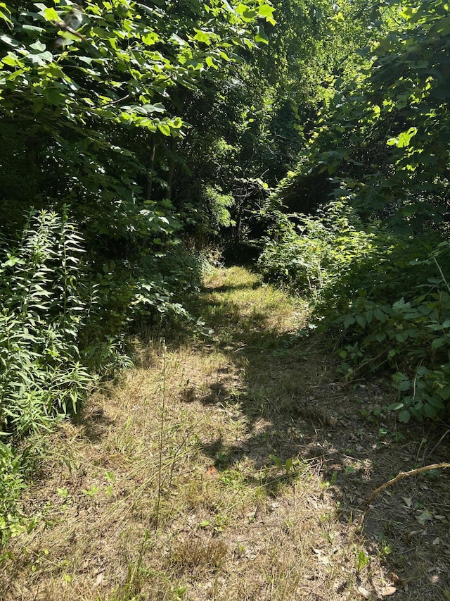 00 Stuck Rd, Marcellus, MI 49067 - photo 22