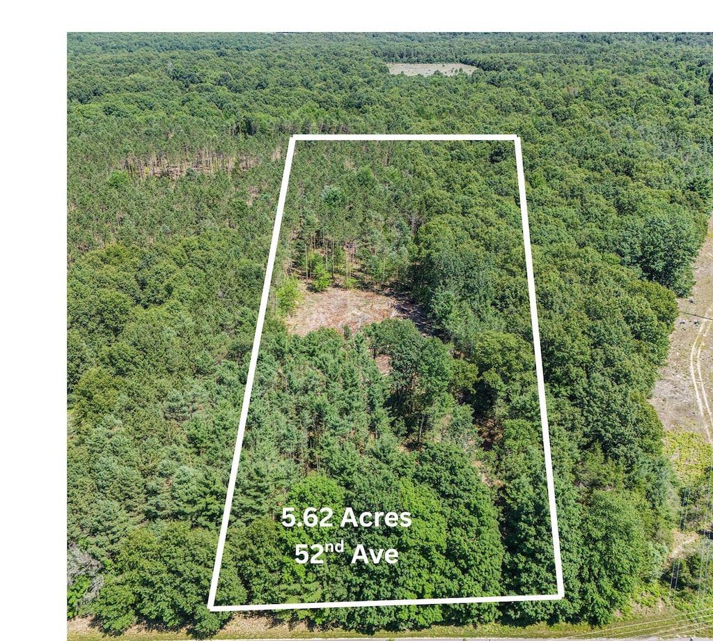 ParcelE 52nd Avenue, Mears, MI 49436 - photo 1