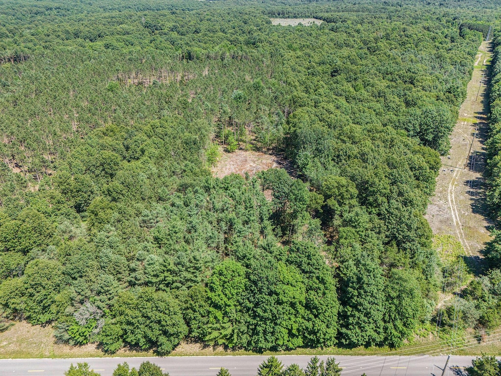 ParcelE 52nd Avenue, Mears, MI 49436 - photo 2