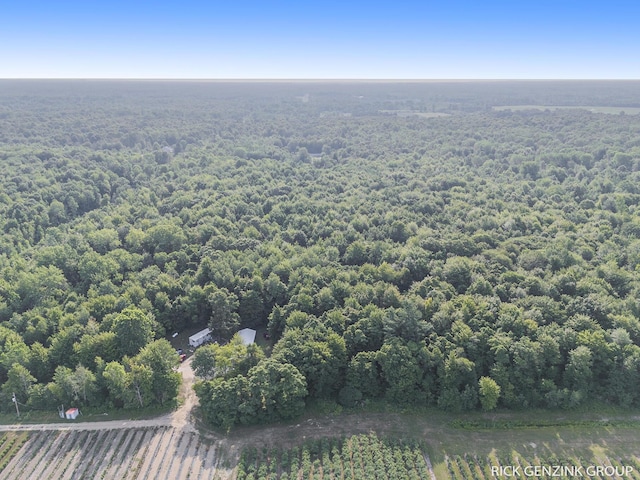 5936 108th Ave, Pullman, MI 49450 - photo 6