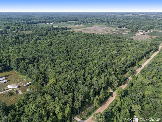 5936 108th Ave, Pullman, MI 49450 - photo 8