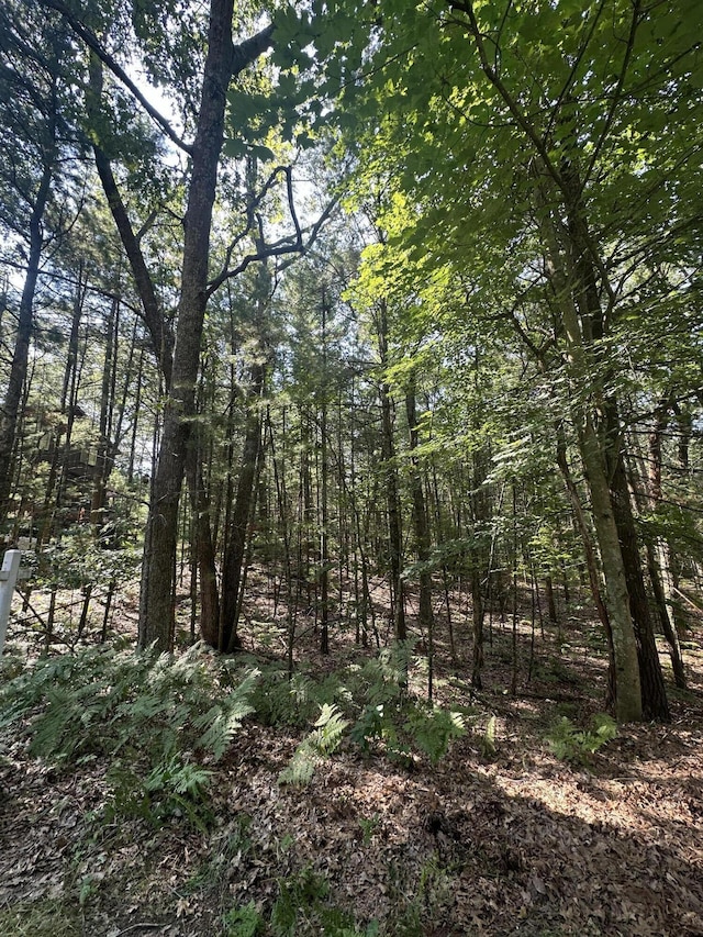 LOT105 Crow Ln Unit 105, Pentwater, MI 49449 - photo 2