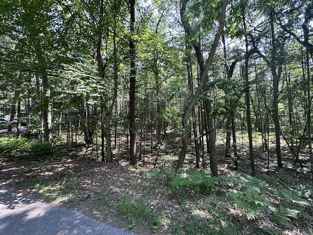 LOT105 Crow Ln Unit 105, Pentwater, MI 49449 - photo 3