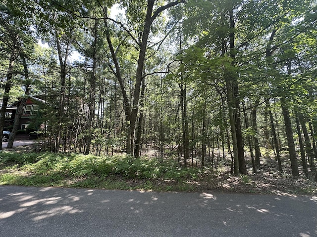 LOT105 Crow Ln Unit 105, Pentwater, MI 49449 - photo 4