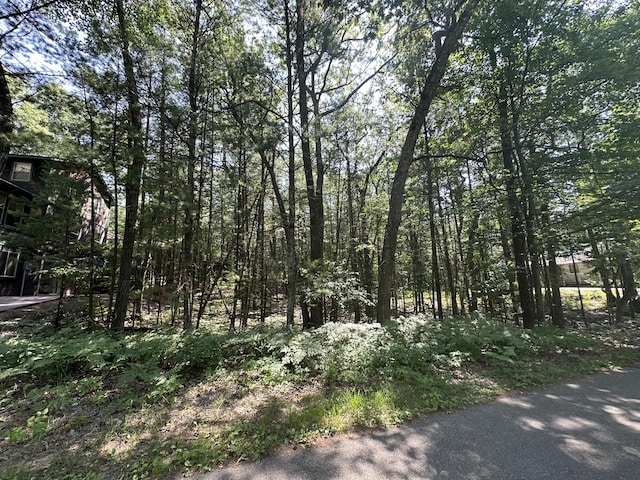 LOT105 Crow Ln Unit 105, Pentwater, MI 49449 - photo 5
