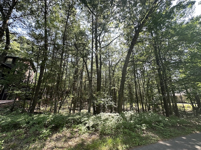 LOT105 Crow Ln Unit 105, Pentwater, MI 49449 - photo 6