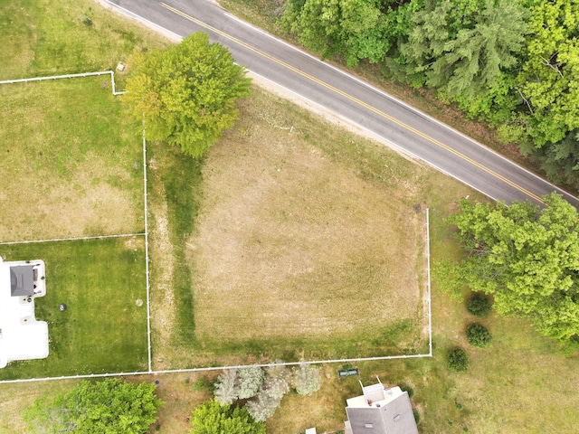LOT38 Longbridge, Pentwater, MI 49449 - photo 9