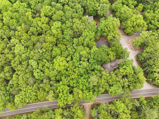 LOT38 Longbridge, Pentwater, MI 49449 - photo 10