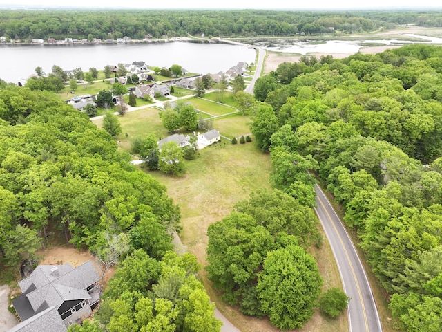 LOT38 Longbridge, Pentwater, MI 49449 - photo 11