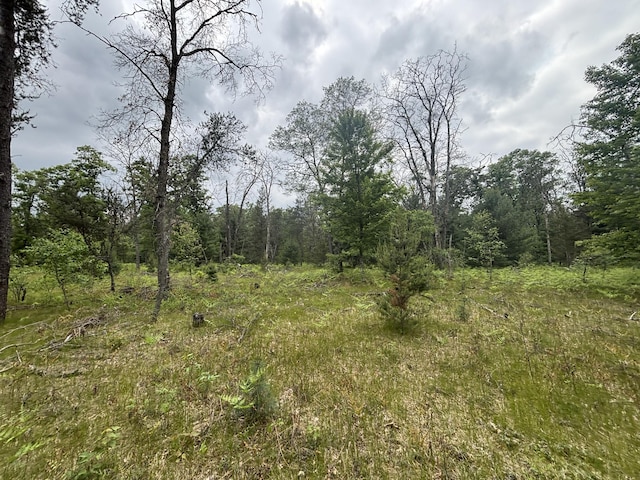 V/L14A N Woodbridge Ave, Bitely, MI 49309 - photo 6